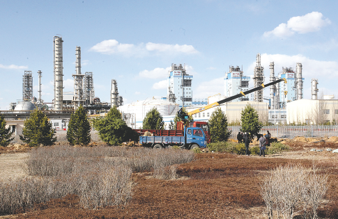 体育考试查分平台App 手机查分界面示意图